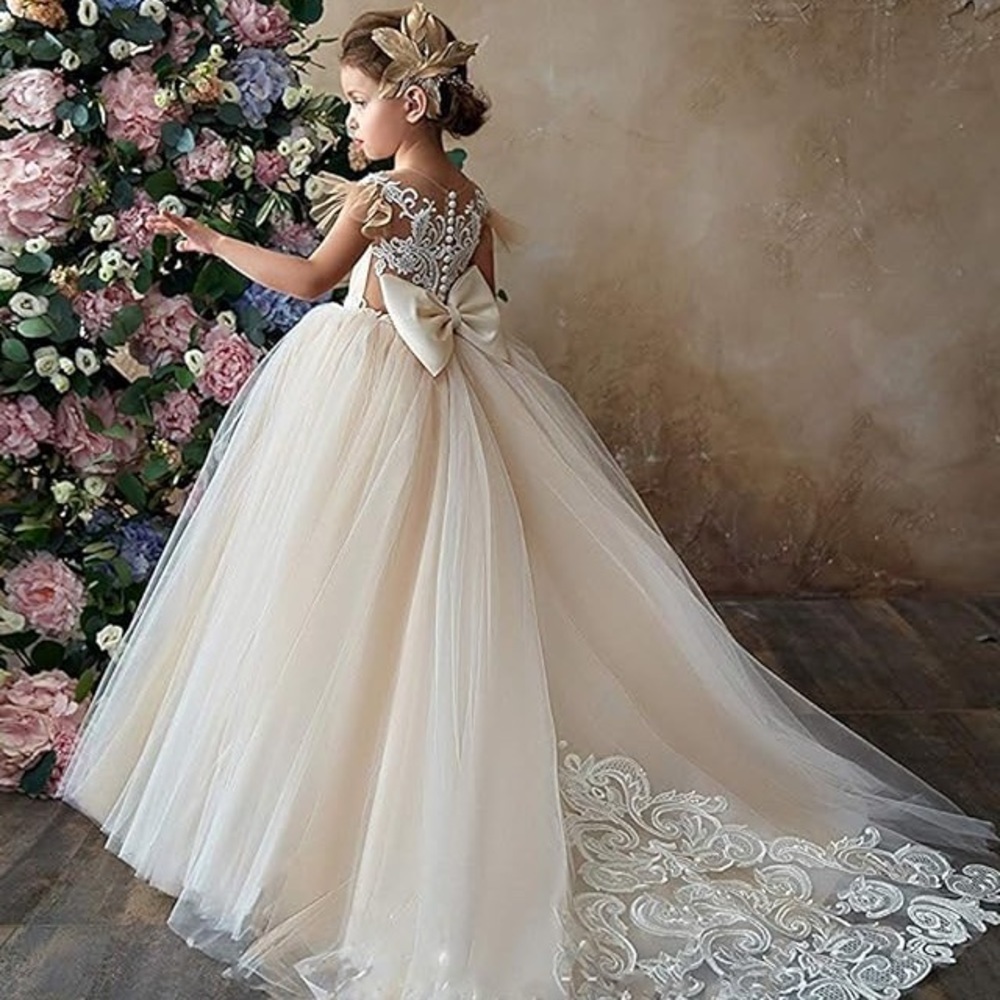 Imagina Tulle Ball Gown with Flutter Sleeves and a Lace Back